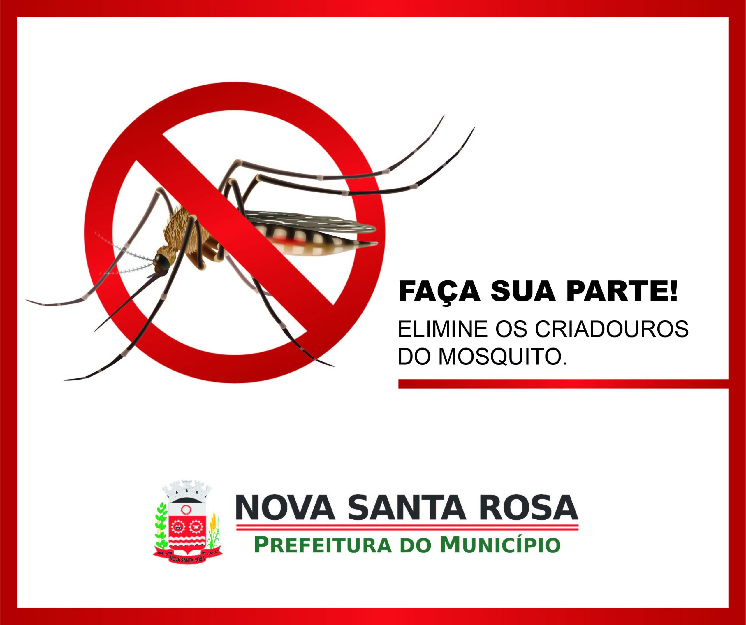 É preciso eliminar os criadouros do mosquito da dengue | Prefeitura de Nova  Santa Rosa