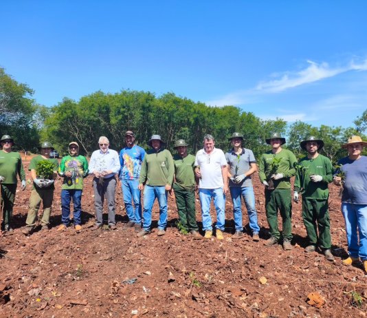 Prefeitura de Nova Santa Rosa, IAT e M.A. Máquinas Agrícolas iniciam projeto de plantio de árvores nativas na Pedreira Municipal