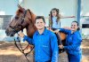 Projeto de Equoterapia “Cuidar, Incluir e Transformar Vidas” inicia atendimentos em Nova Santa Rosa