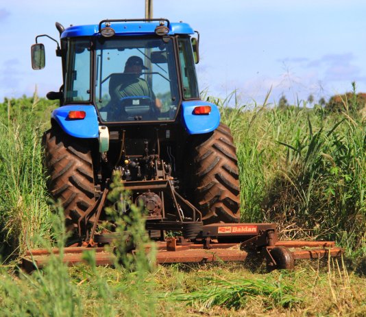 Prefeitura de Nova Santa Rosa intensifica limpeza de terrenos públicos