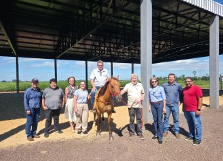Inclusão e cuidado: Equoterapia segue promovendo desenvolvimento e qualidade de vida