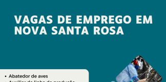 Confira as vagas de emprego disponíveis na Agência do Trabalhador de Nova Santa Rosa
