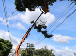 Recanto Feliz recebe ação de poda de árvores para evitar novos rompimentos na rede de energia