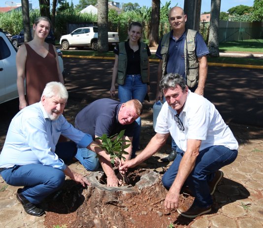 Nova Santa Rosa participa do “Dia do Desafio Ambiental” com plantio de árvore nativa