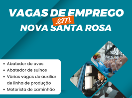 Agência do Trabalhador de Nova Santa Rosa divulga vagas de emprego disponíveis no município