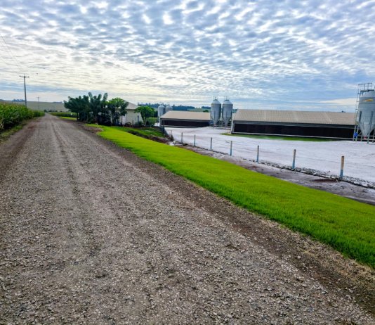 Secretaria de Agricultura realiza reposição de solo brita em cerca de 20 quilômetros de estradas rurais