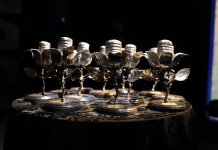 10º FESTIROSA revela os vencedores em noite de talento e emoção