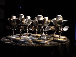 10º FESTIROSA revela os vencedores em noite de talento e emoção