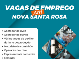 Agência do Trabalhador divulga vagas de emprego disponíveis nesta segunda-feira (15) em Nova Santa Rosa