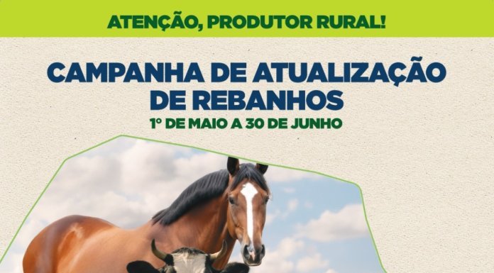 Atenção produtores: campanha de atualização de rebanhos entra na reta final