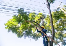 Mutirão de poda da Copel mobilizará 20 equipes em Nova Santa Rosa