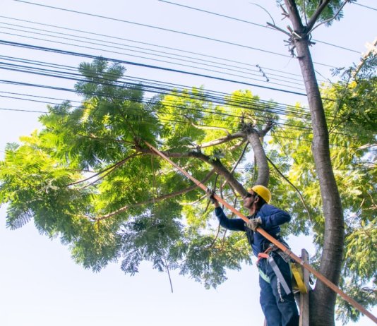 Mutirão de poda da Copel mobilizará 20 equipes em Nova Santa Rosa