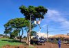 Mutirão de Poda da Copel mobiliza cerca de 80 profissionais em Nova Santa Rosa