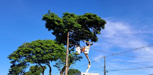 Mutirão de Poda da Copel mobiliza cerca de 80 profissionais em Nova Santa Rosa