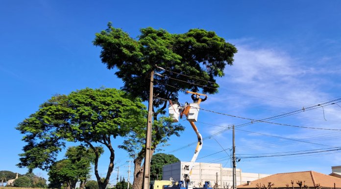 Mutirão de Poda da Copel mobiliza cerca de 80 profissionais em Nova Santa Rosa