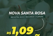 Nova Santa Rosa supera R$ 1,09 bilhão em Valor Bruto da Produção Agropecuária e registra novo recorde