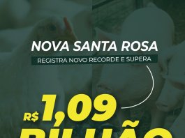 Nova Santa Rosa supera R$ 1,09 bilhão em Valor Bruto da Produção Agropecuária e registra novo recorde