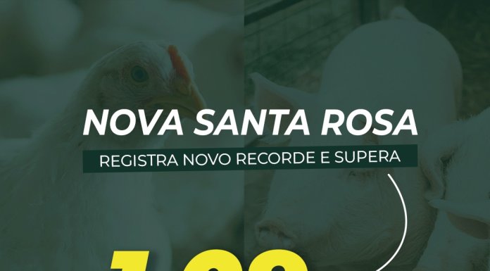 Nova Santa Rosa supera R$ 1,09 bilhão em Valor Bruto da Produção Agropecuária e registra novo recorde