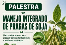 Palestra sobre Manejo Integrado de Pragas da Soja será realizada em Nova Santa Rosa