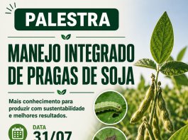 Palestra sobre Manejo Integrado de Pragas da Soja será realizada em Nova Santa Rosa