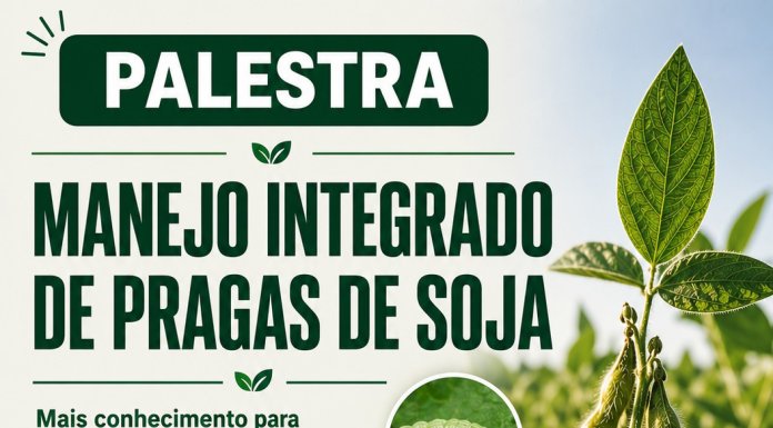 Palestra sobre Manejo Integrado de Pragas da Soja será realizada em Nova Santa Rosa