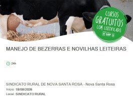 Curso gratuito do SENAR orienta produtores sobre manejo de bezerras e novilhas leiteiras