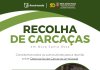 Suinocultores de Nova Santa Rosa são convidados para reunião sobre destinação de carcaças