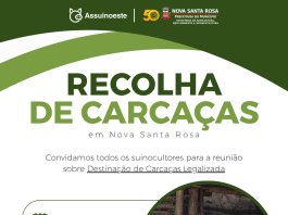 Suinocultores de Nova Santa Rosa são convidados para reunião sobre destinação de carcaças